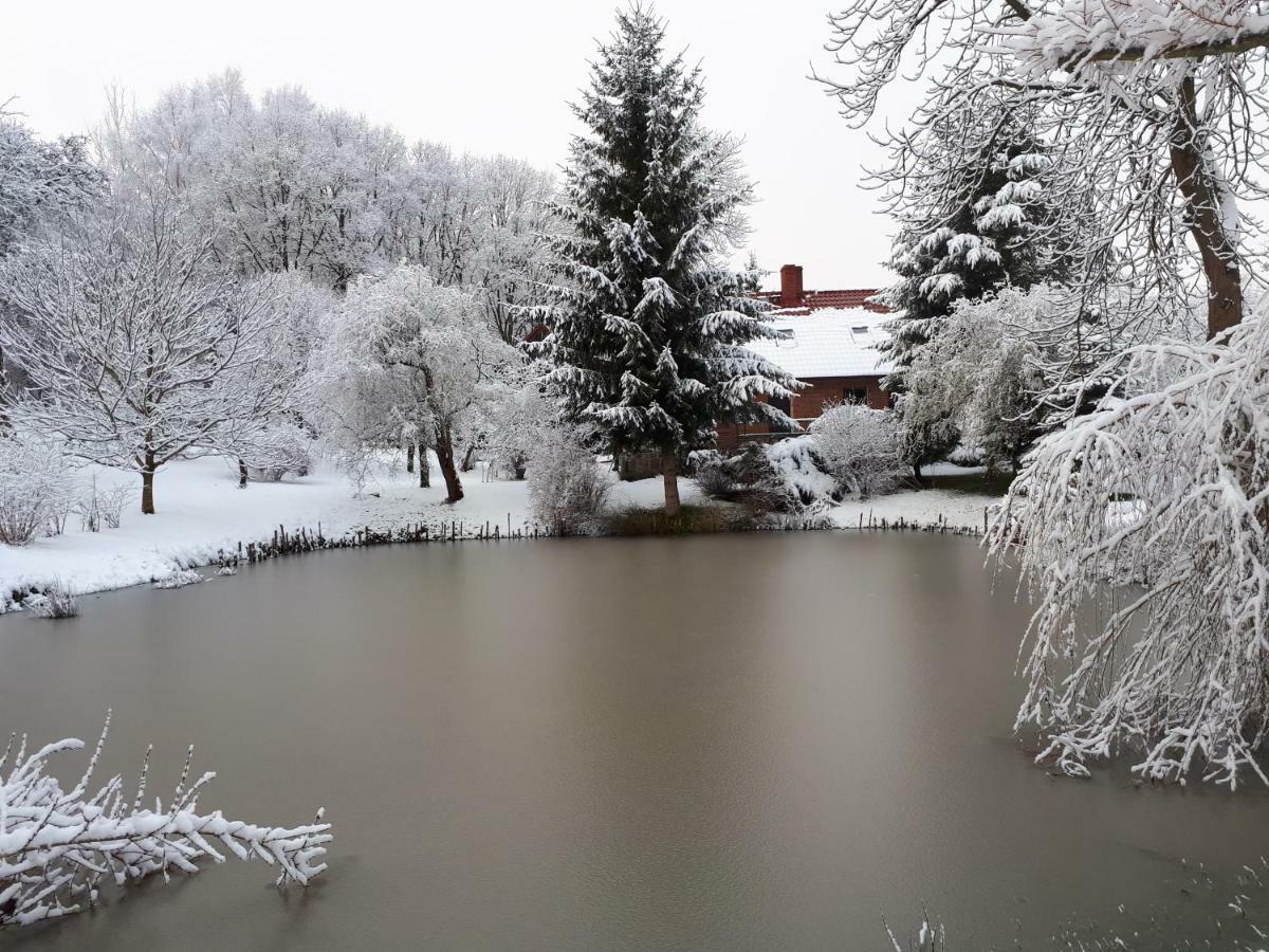 Villa Labadkowo Labedzie Exterior foto